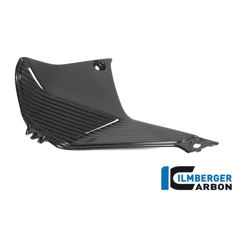 Cover near the Instrument BMW R 1250 RS´19 - left + right set