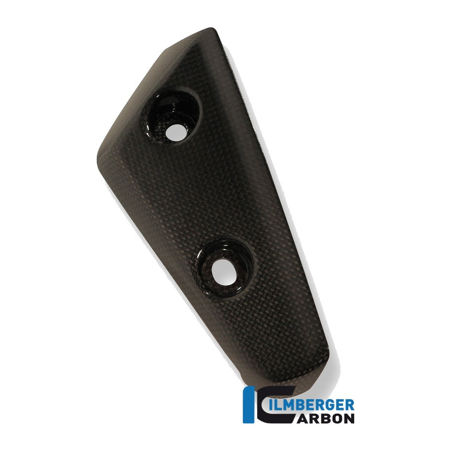 Flap on front fender Triumph Speed Triple (2011-aktuell) - left + right set