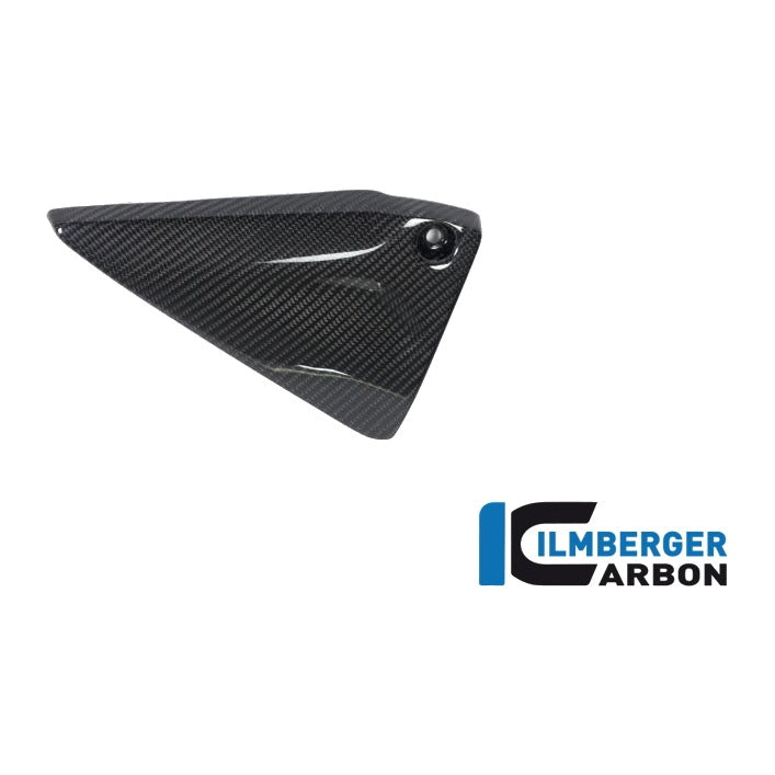 Frame Triangle Cover BMW R 1250 GS / R 1250 R and RS - left + right set
