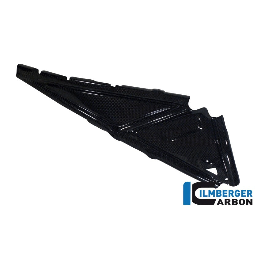 Rear frame cover BMW R 1200 GS (LC) - left + right set