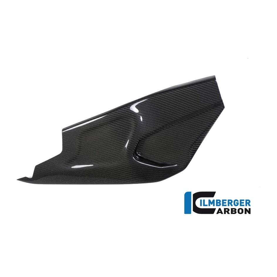 Swing arm cover BMW HP4 RACE - left + right set