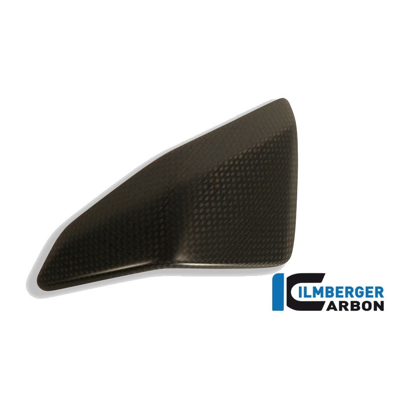 fairing insert Ducati 1199 Panigale Straße - left + right set