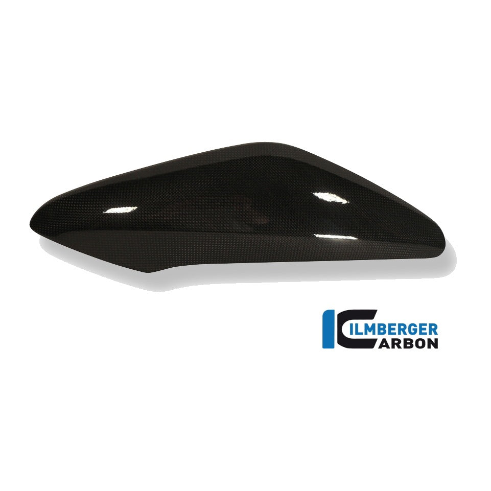 Side cover above the radiator Triumph Speed Triple - left + right set