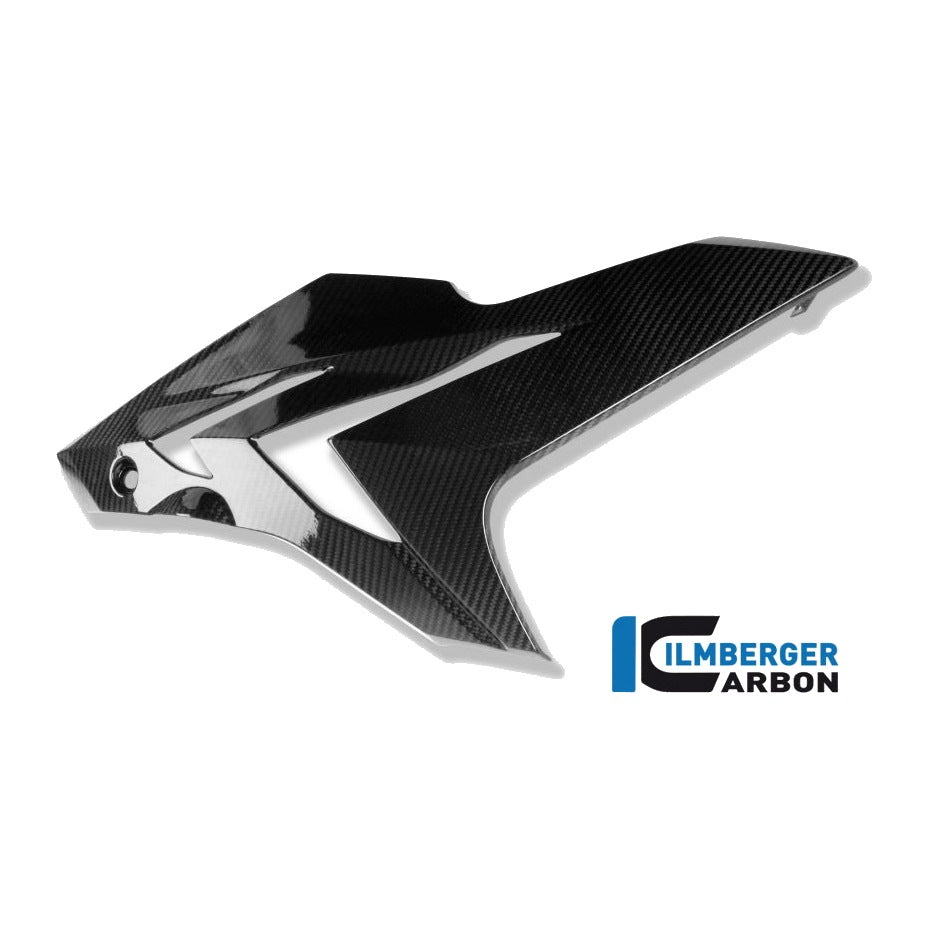 Fairing Side Panel BMW S 1000 R - left + right set