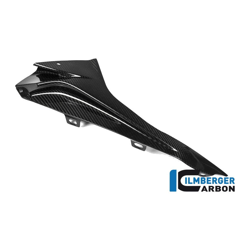 Upper part of the fairing side panel BMW S 1000 RR (ab 2015) - left + right set