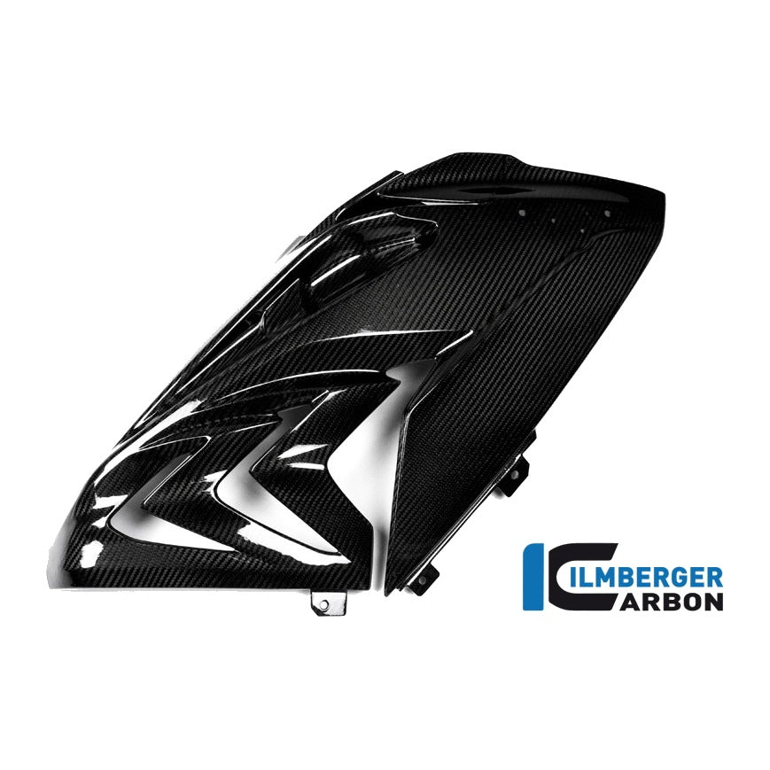 Fairing side panel Racing BMW S 1000 RR (ab 2015) - left + right set