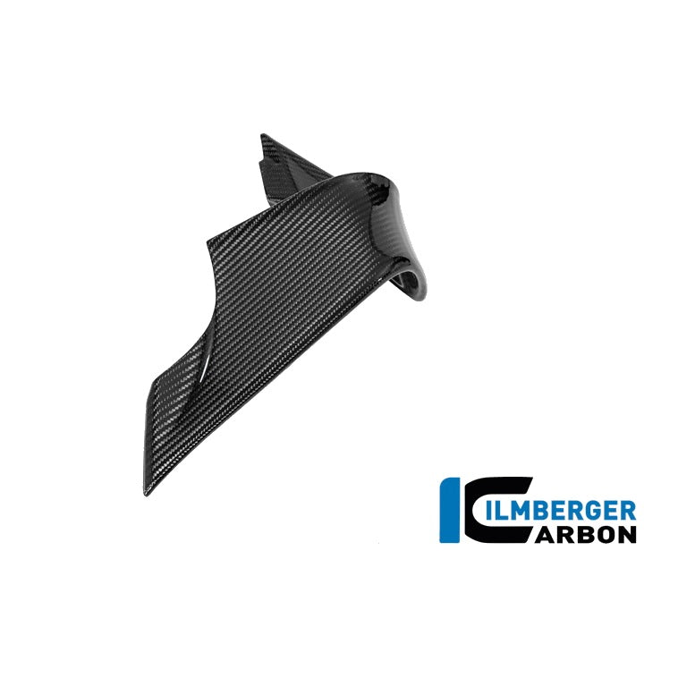 Winglet BMW M 1000 RR 2025 - left + right set