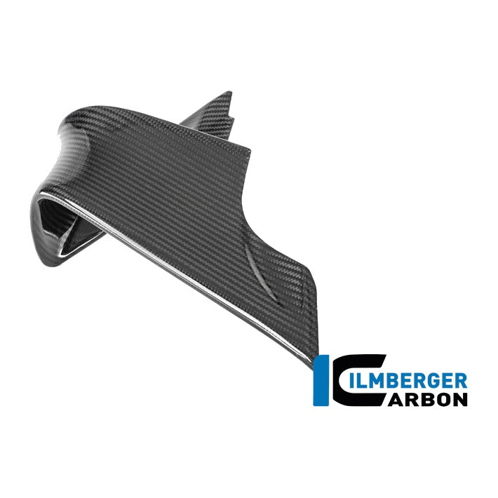 Winglet BMW M 1000 RR 2025 - left + right set