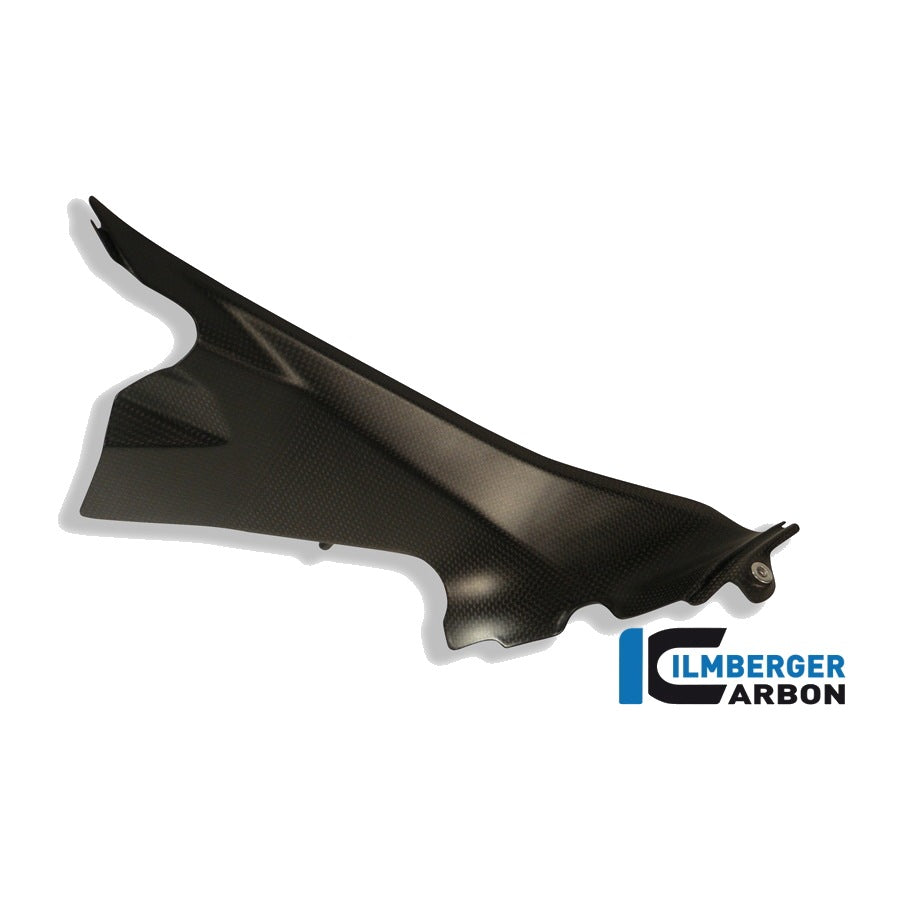 Wind tunnel cover Ducati 1199 Panigale Straße - left + right set