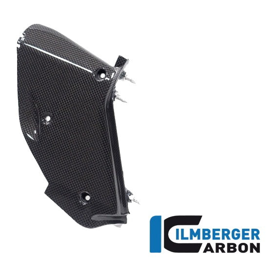 Inner airtube cover Ducati Diavel V4 from 2023 - left + right set