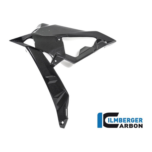 Radiator cover / Badge holder - BMW S 1000 R (ab 2017) - left + right set