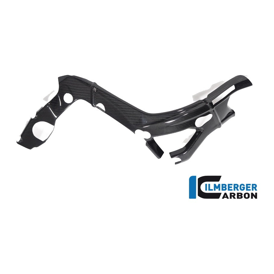 Frame Cover big BMW S 1000 RR MY from 2019 - left + right set