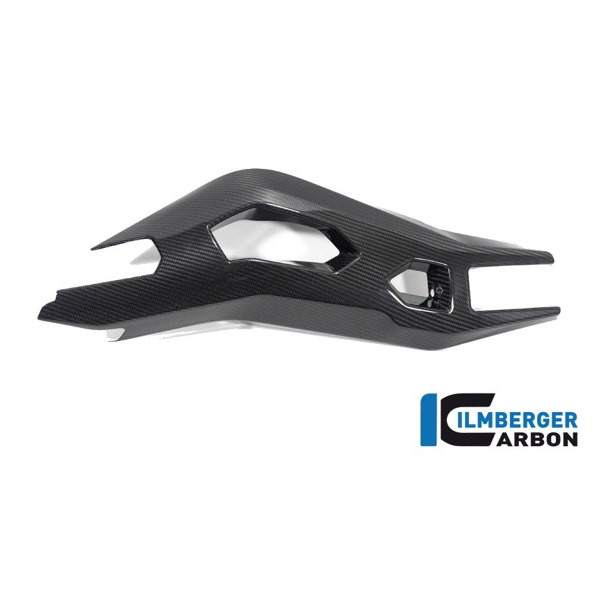 Swing Arm Cover BMW S 1000 XR from MY 2020 - left + right set