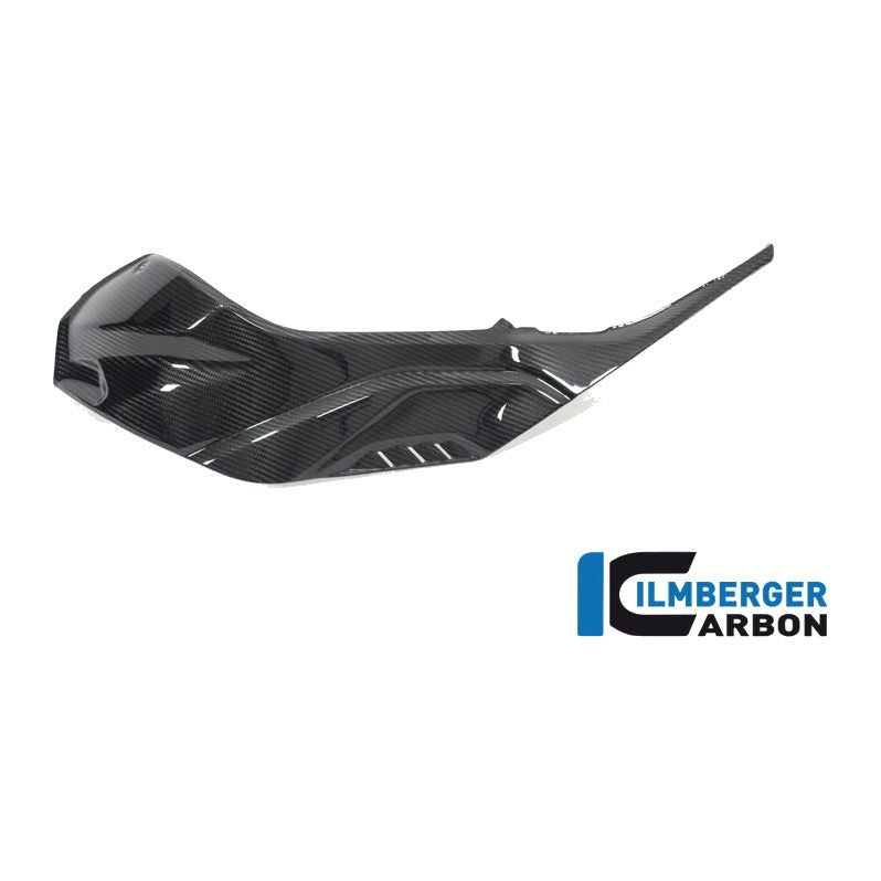Tank Side Panel Full Version BMW S 1000 RR from My 2019 - left + right set