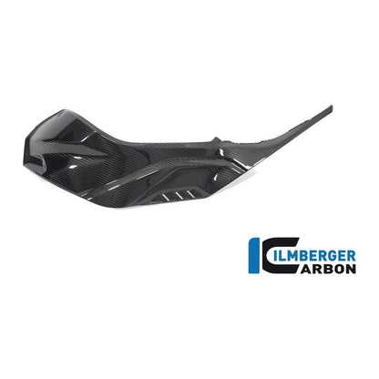 Tank Side Panel Full Version BMW S 1000 RR from My 2019 - left + right set