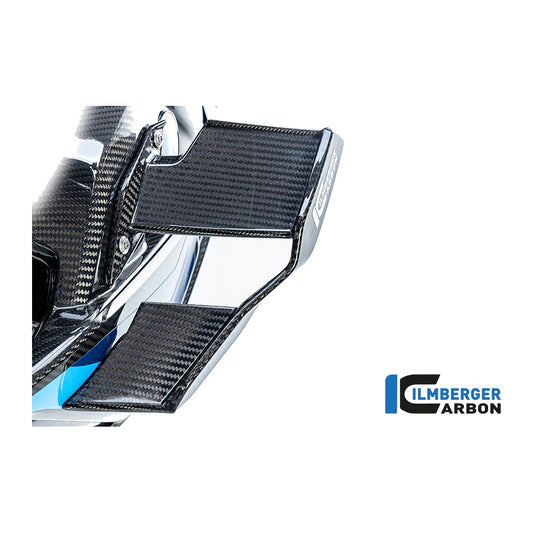 Winglet BMW M1000R 2023 - left + right set