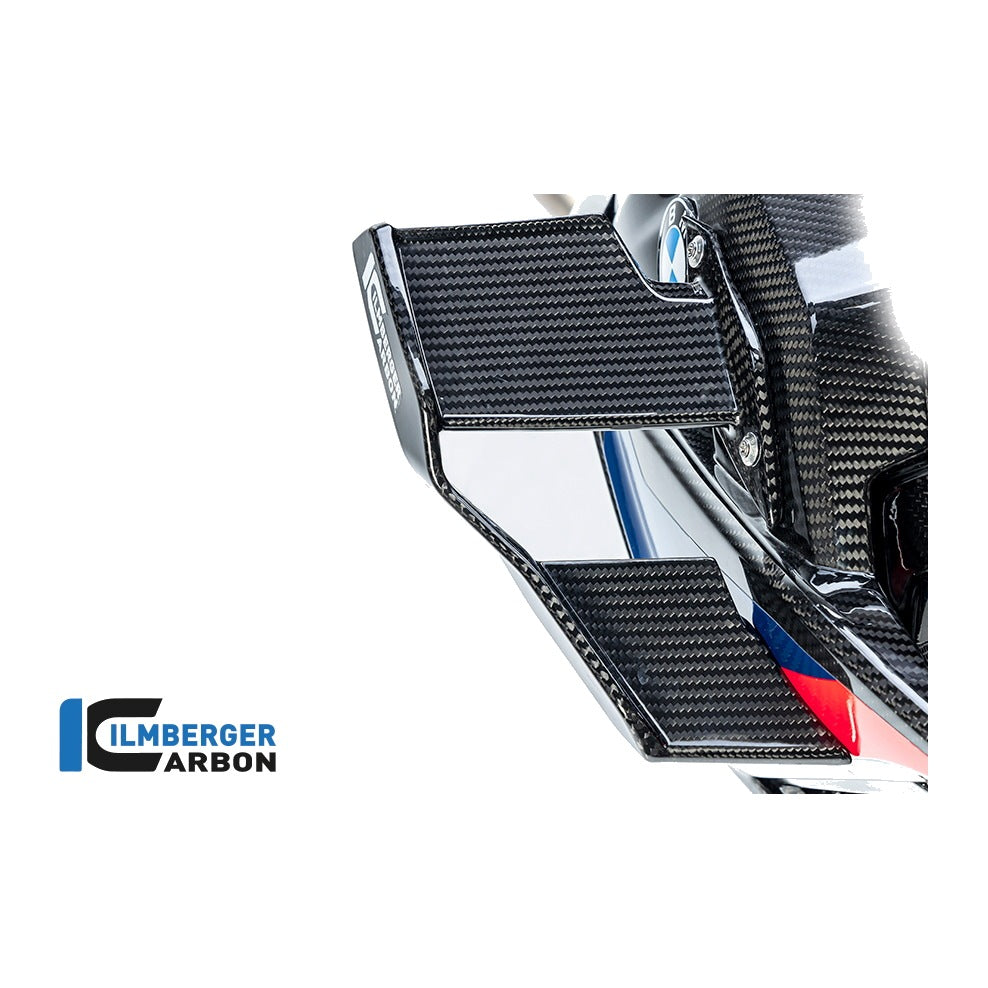 Winglet BMW M1000R 2023 - left + right set