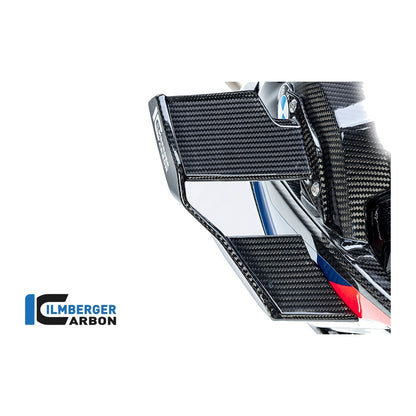 Winglet BMW M1000R 2023 - left + right set