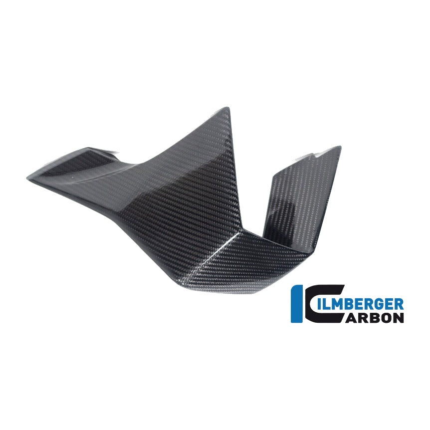 Winglet BMW M 1000 RR MY from 2023 - left + right set