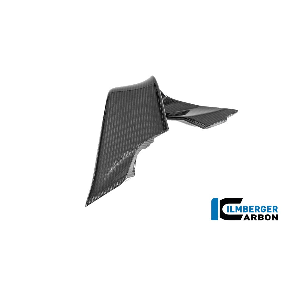 winglet BMW M 1000 RR 2025 - left + right set