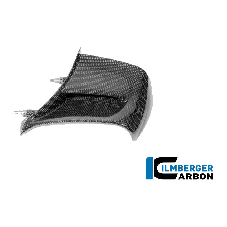 Winglet Panigale V4 2025 - left + right set