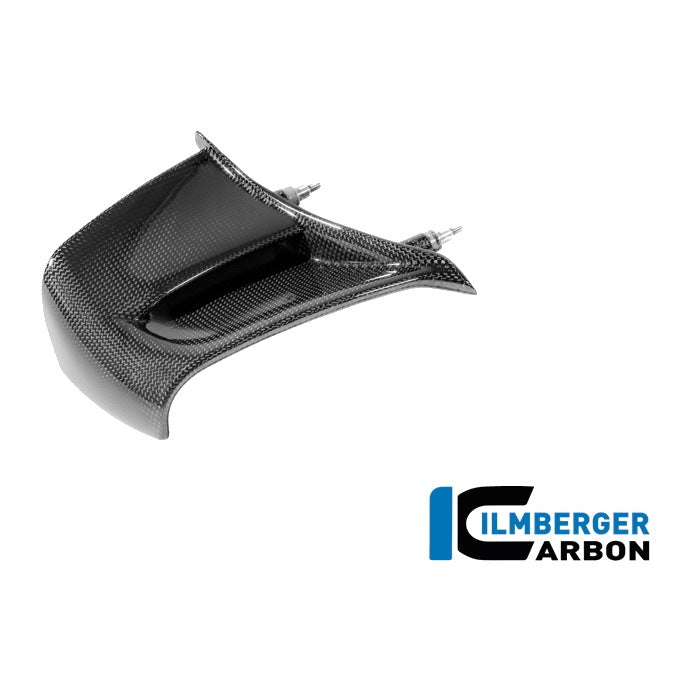 Winglet Panigale V4 2025 - left + right set