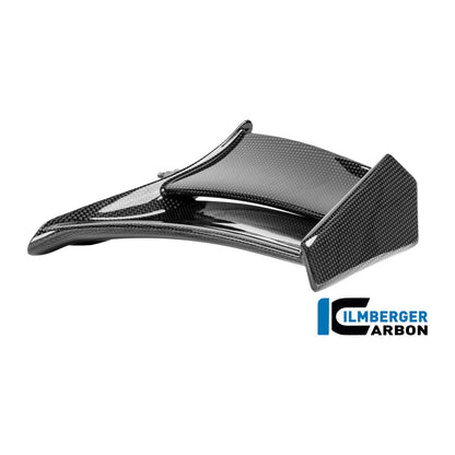 Winglet Ducati Panigale V4 R 2025 - left + right set
