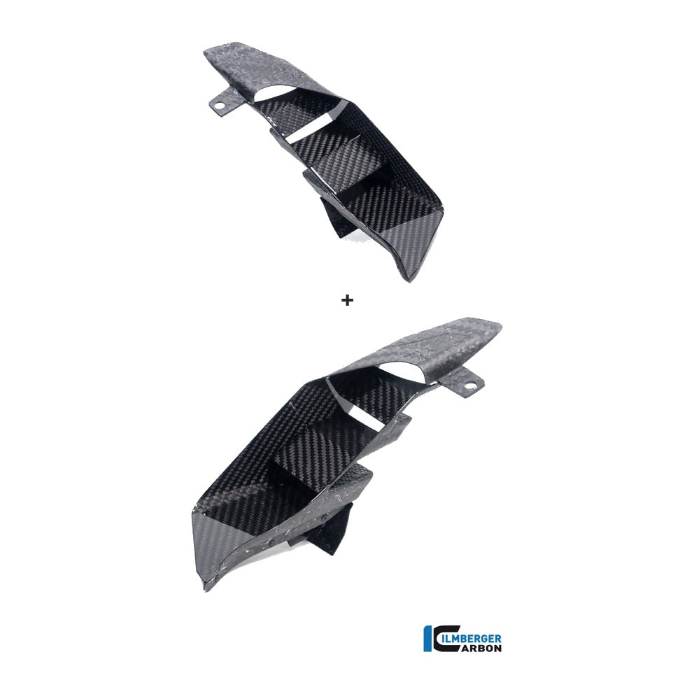 Rear wing in the seat BMW M 1000 XR 2024 - left + right set