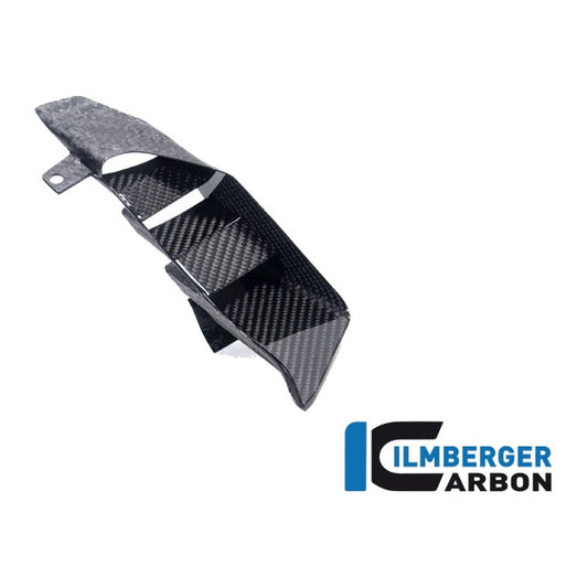 Rear wing in the seat BMW M 1000 XR 2024 - left + right set