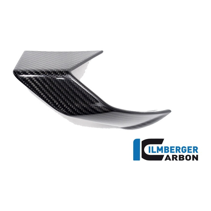 Fairing Side Winglet BMW S 1000 R MY from 2021 - left + right set