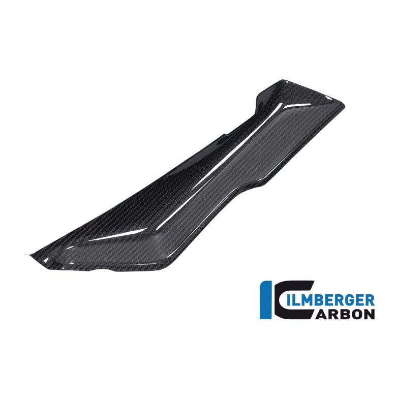 Cover under the Front Fairing BMW R 1250 RS - left + right set