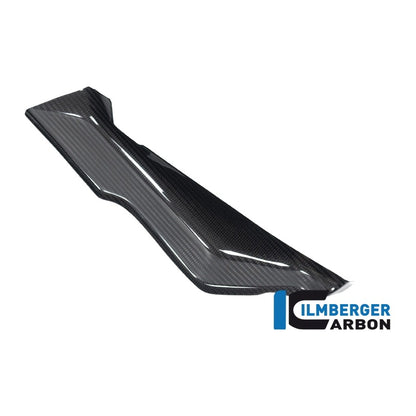 Cover under the Front Fairing BMW R 1250 RS - left + right set