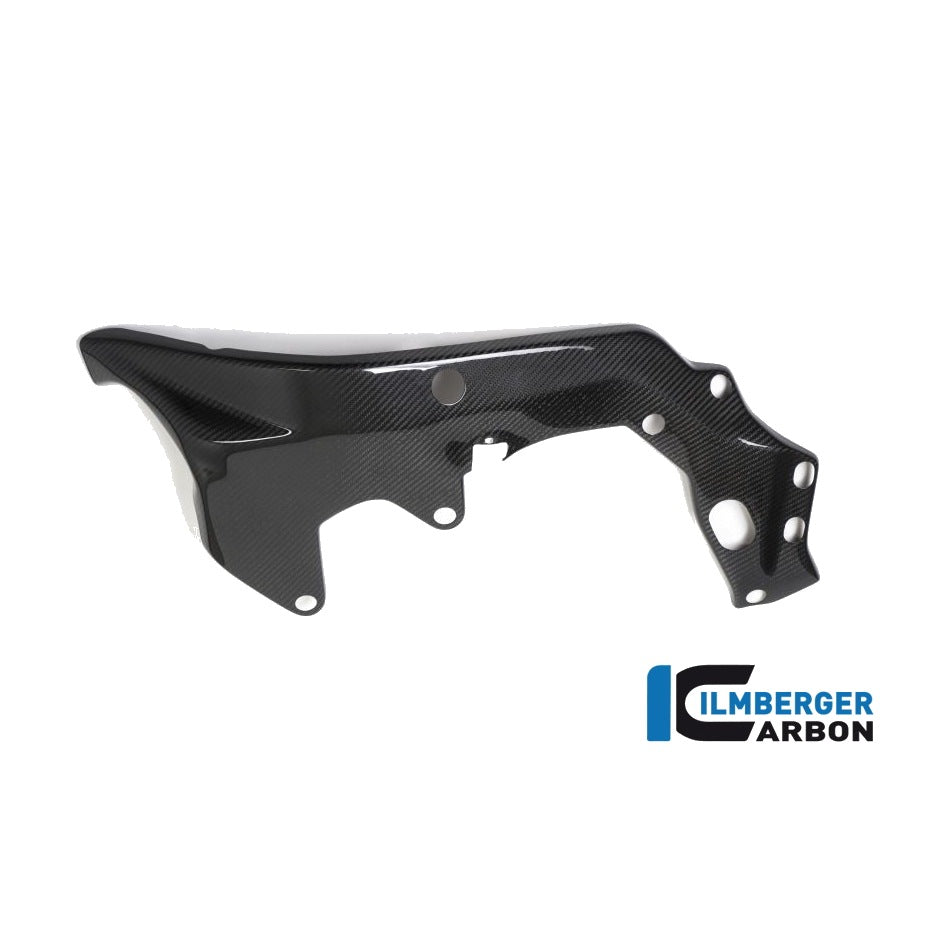 Frame Protector BMW HP4 RACE - left + right set