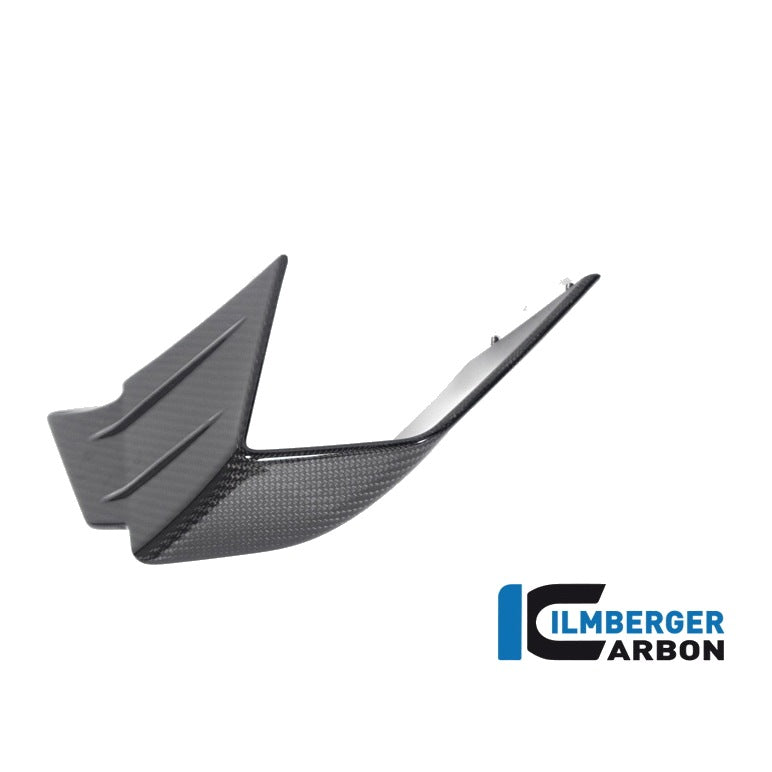 Flap on the Fairing BMW M 1000 RR MY 2021-2022 - left + right set