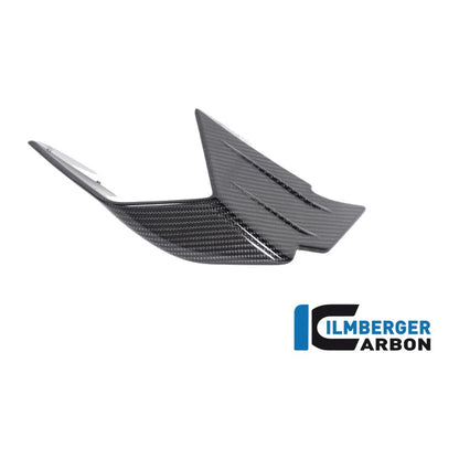 Flap on the Fairing BMW M 1000 RR MY 2021-2022 - left + right set