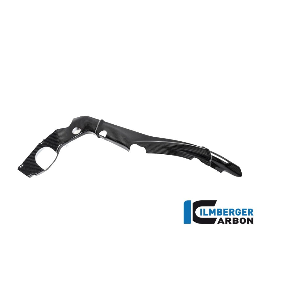 Frame Cover small BMW S 1000 RR MY from 2019 - left + right set