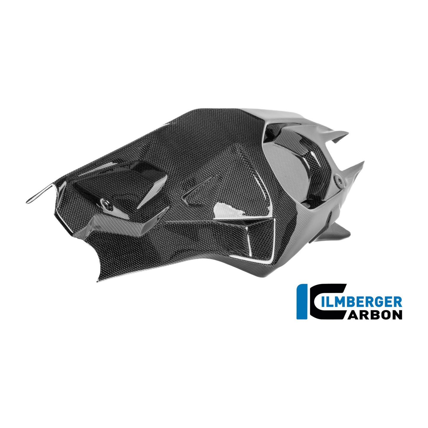 Swingarm cover left Ducati Panigale V4 R 2025
