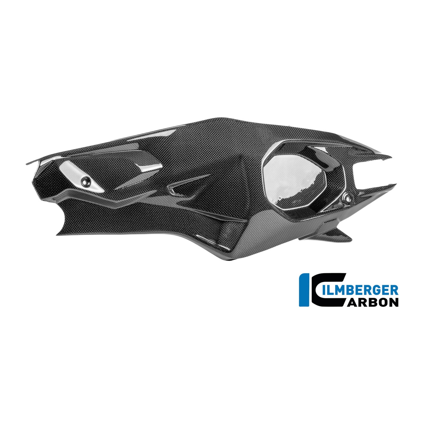 Swingarm cover left Ducati Panigale V4 R 2025