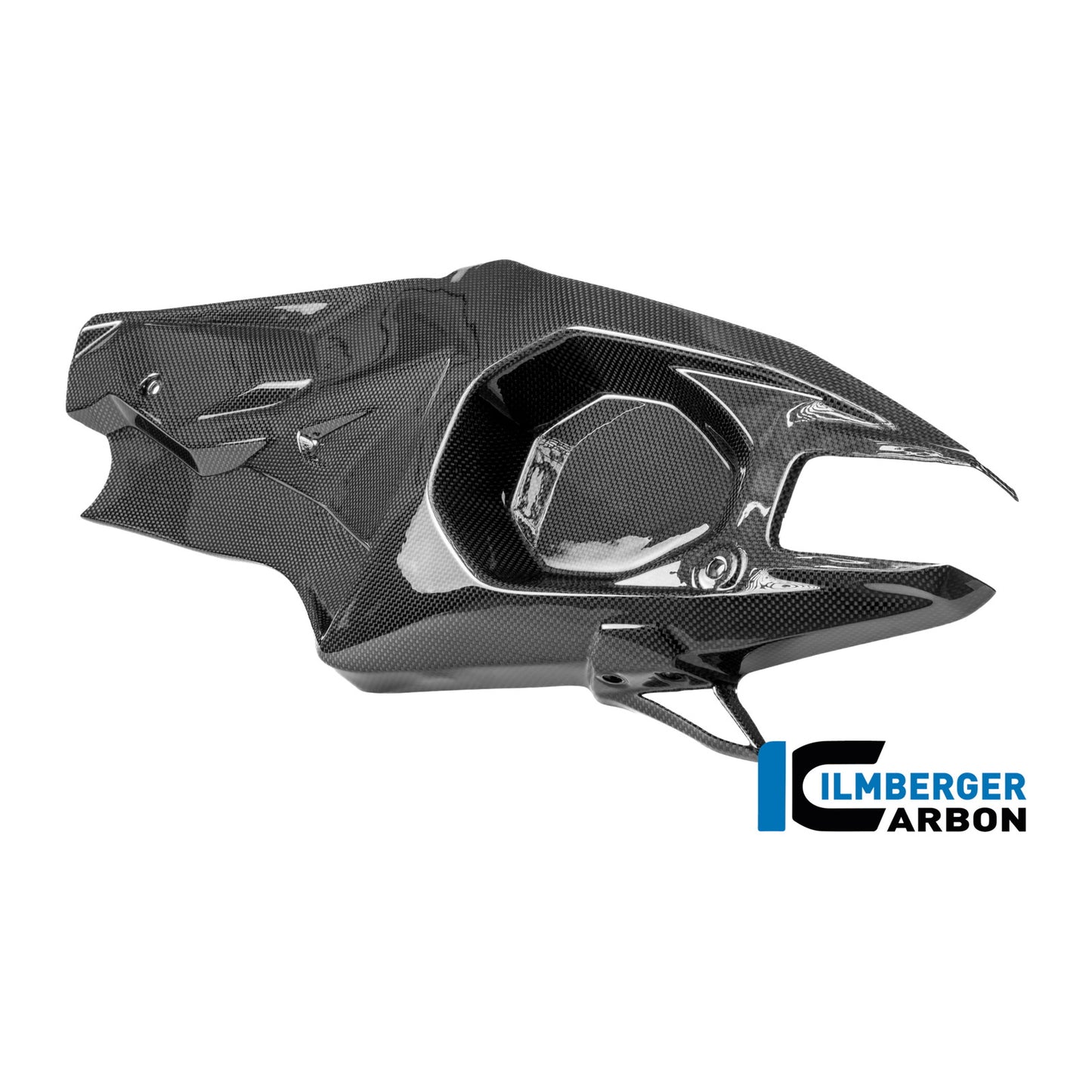 Swingarm cover left Ducati Panigale V4 R 2025