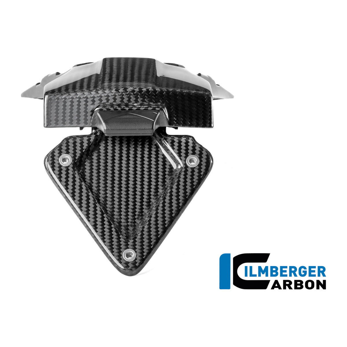 License plate holder BMW R 1300 R