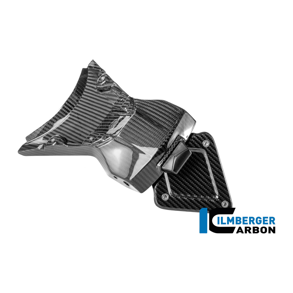 License plate holder BMW R 1300 R