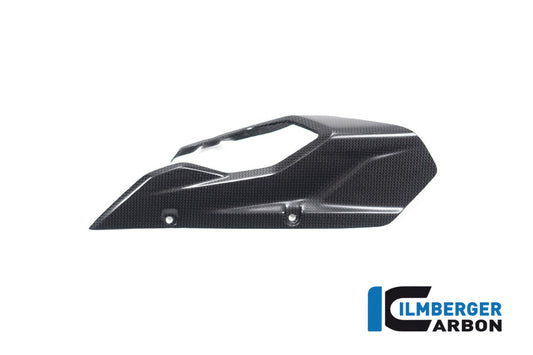 Chainguard/Swingarm surface Multistrada V4