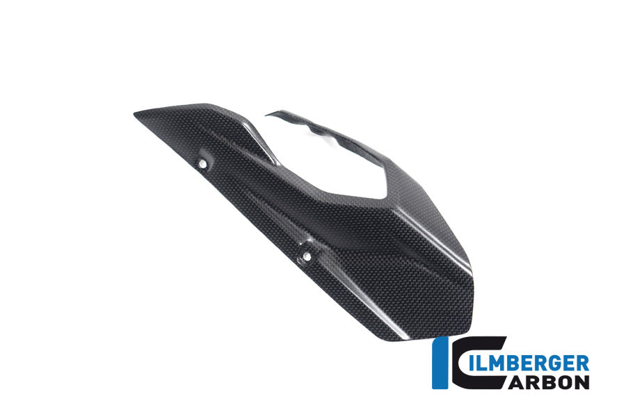 Chainguard/Swingarm matt surface Multistrada V4