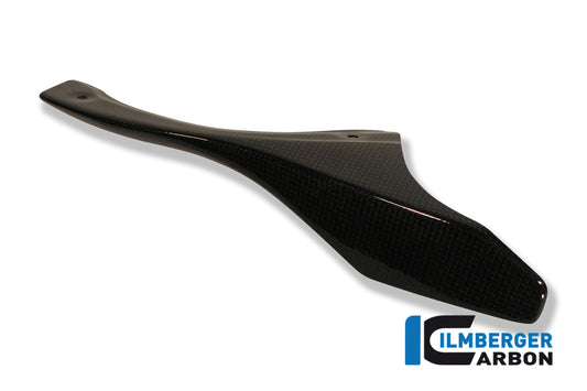 Chain guard on the swingarm carbon