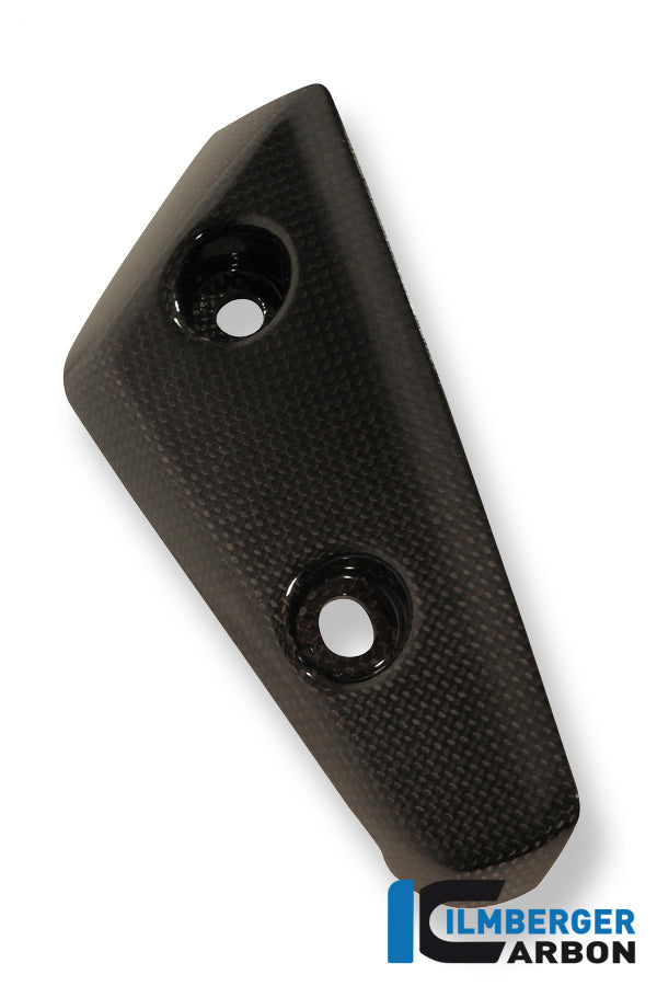 Flap on front left fender carbon