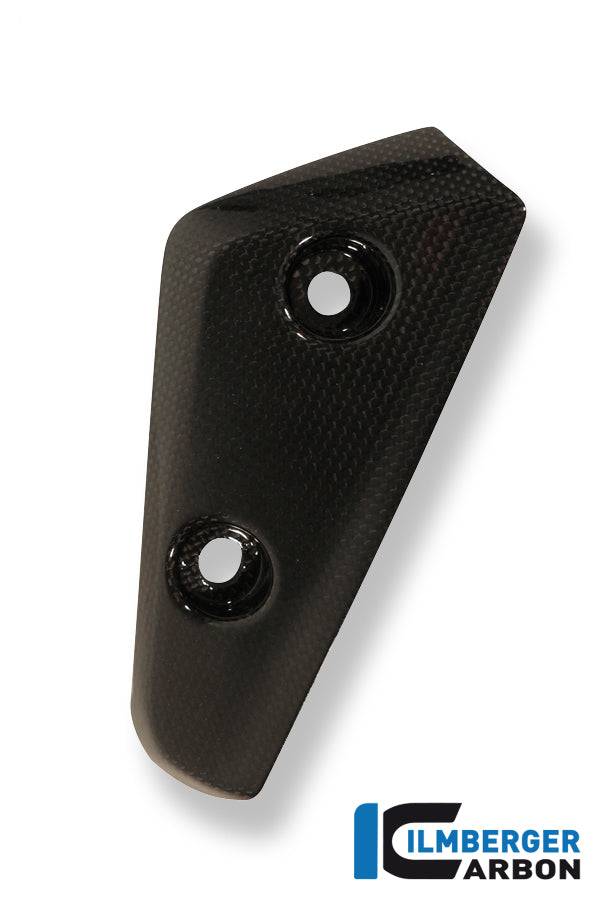 Flap on front left fender carbon