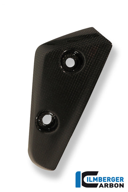 Flap on front left fender carbon