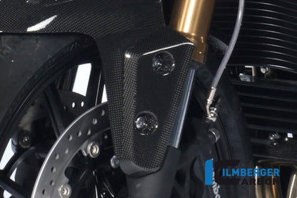 Flap on front left fender carbon