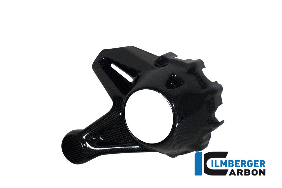 Cardan housing cover (mounting without rear splash guard) Carbon for the water-cooled BMW R 1200