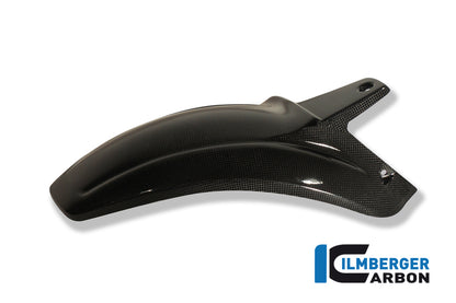 Rear fender 1100 carbon